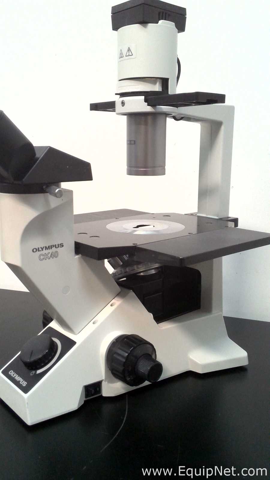 Olympus Optical CK40-F100 Inverted Microscope