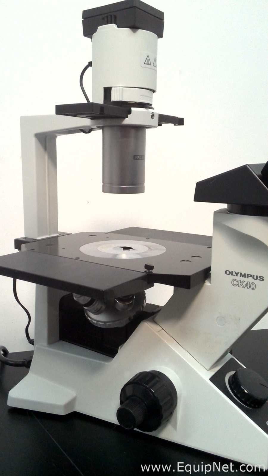 Olympus Optical CK40-F100 Inverted Microscope