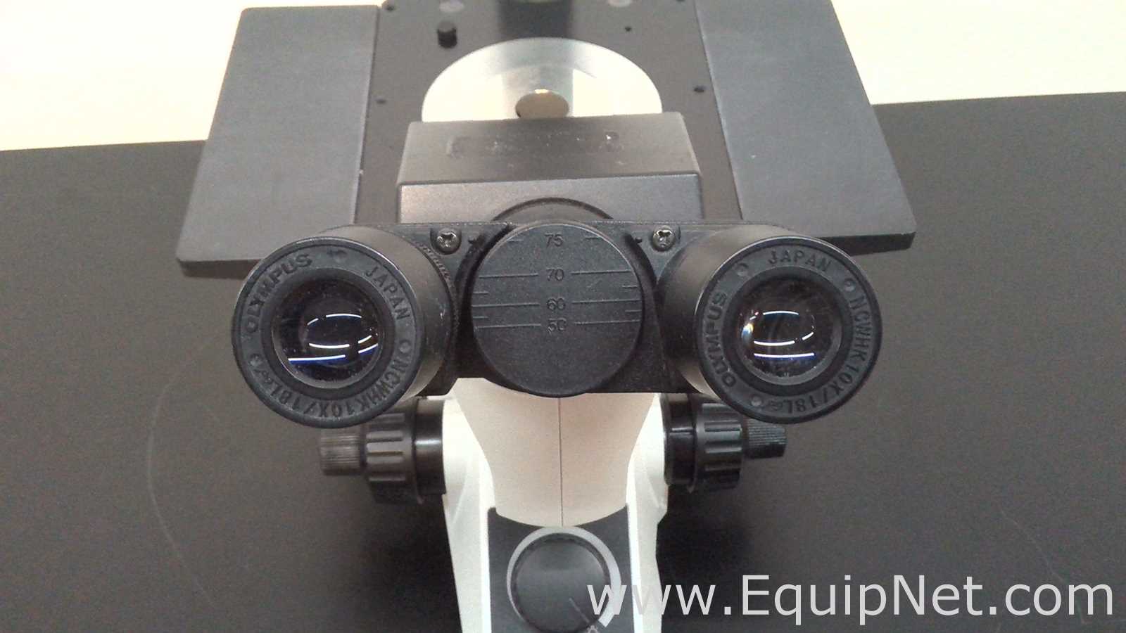 Olympus Optical CK40-F100 Inverted Microscope
