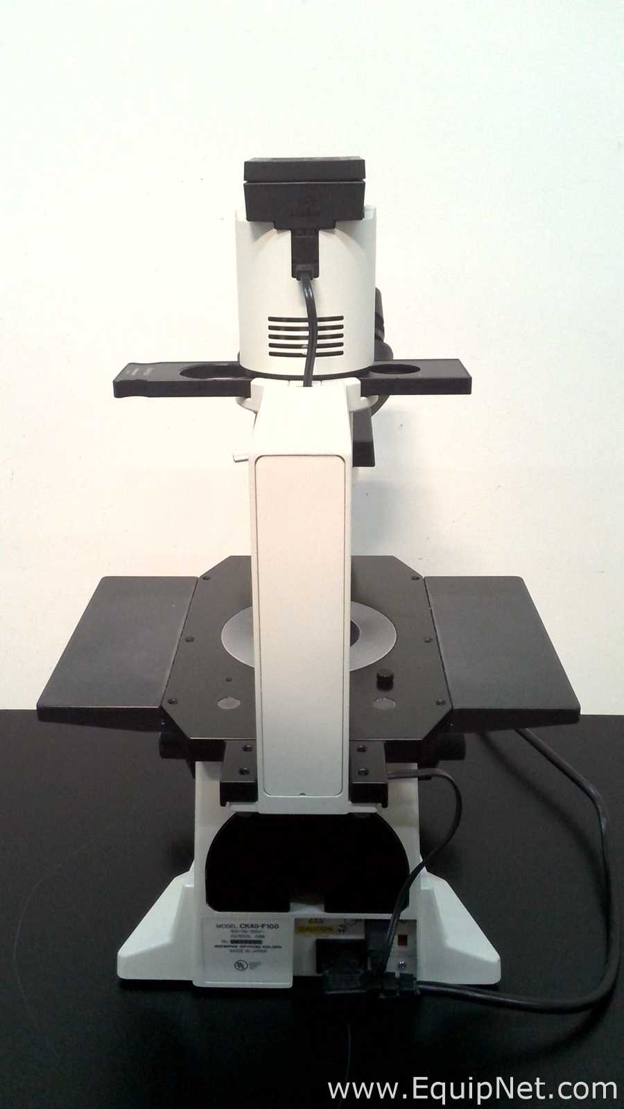 Olympus Optical CK40-F100 Inverted Microscope