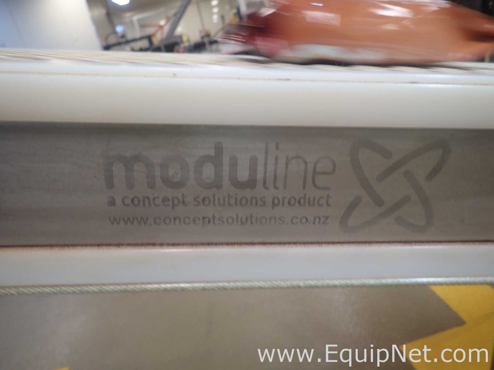 Moduline Stainless Steel Mat Top Conveyor Outfeed Bosch Vertical Packaging System - Bosch Line