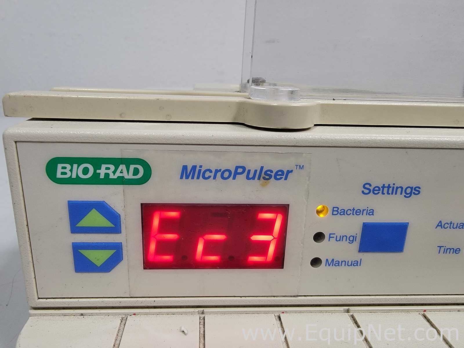 PCR e Termociclador Bio-Rad Micropulser