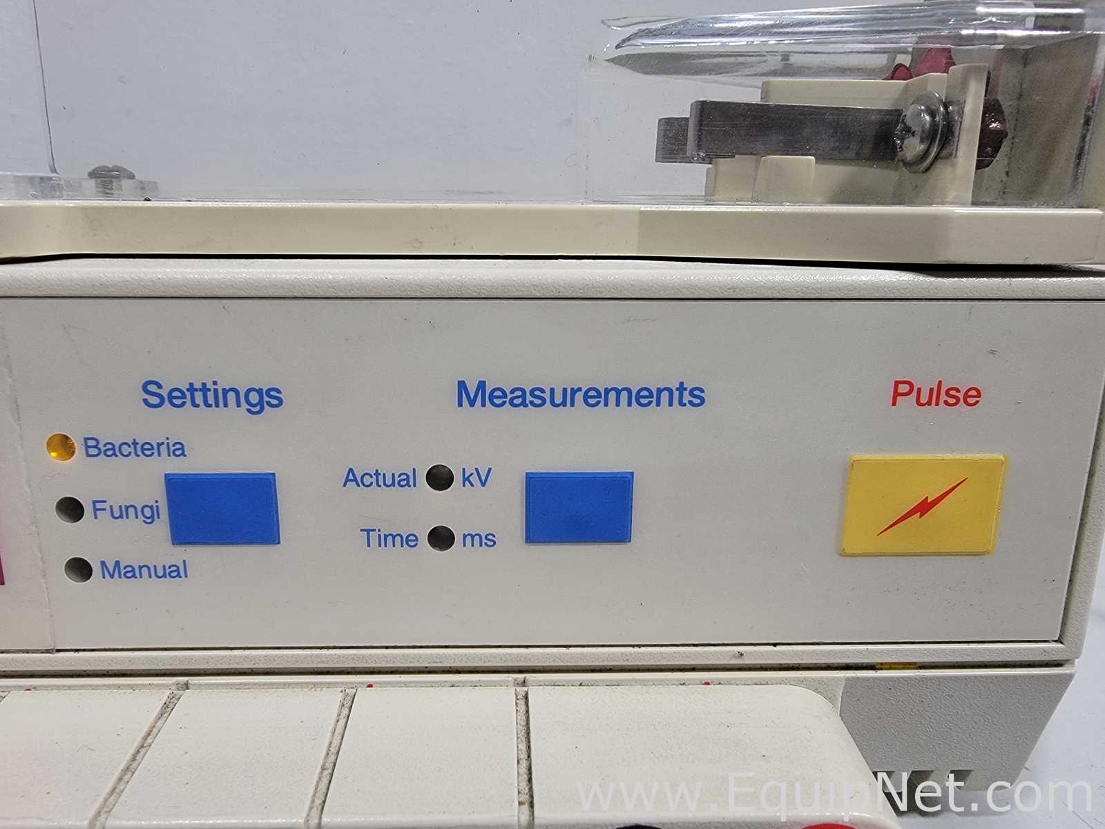 PCR e Termociclador Bio-Rad Micropulser
