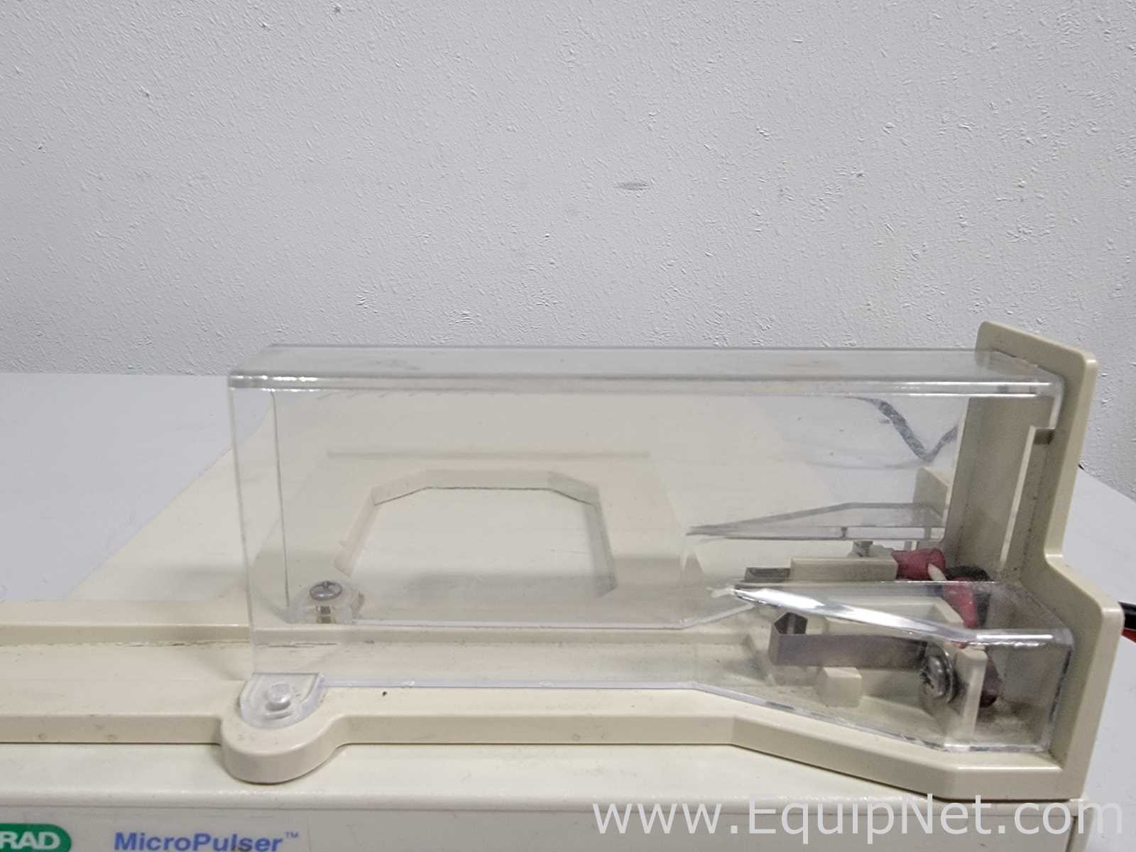 PCR e Termociclador Bio-Rad Micropulser