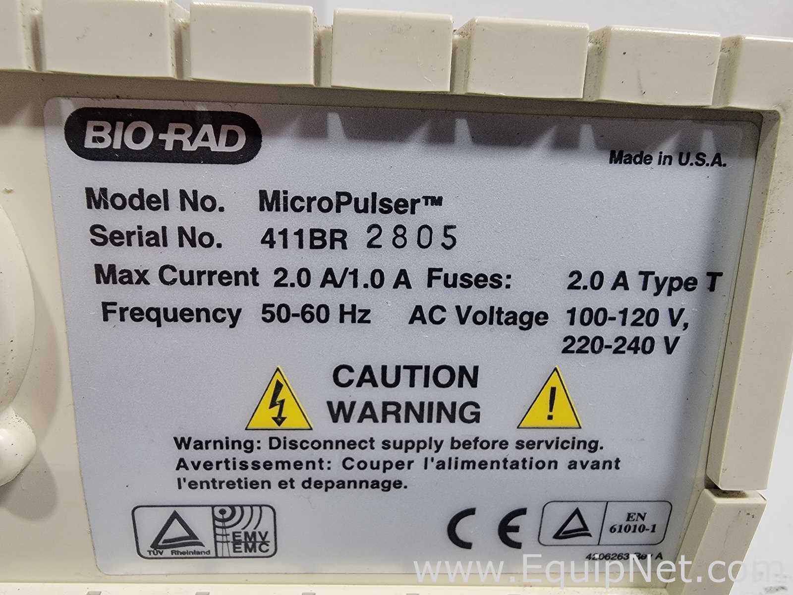 PCR e Termociclador Bio-Rad Micropulser