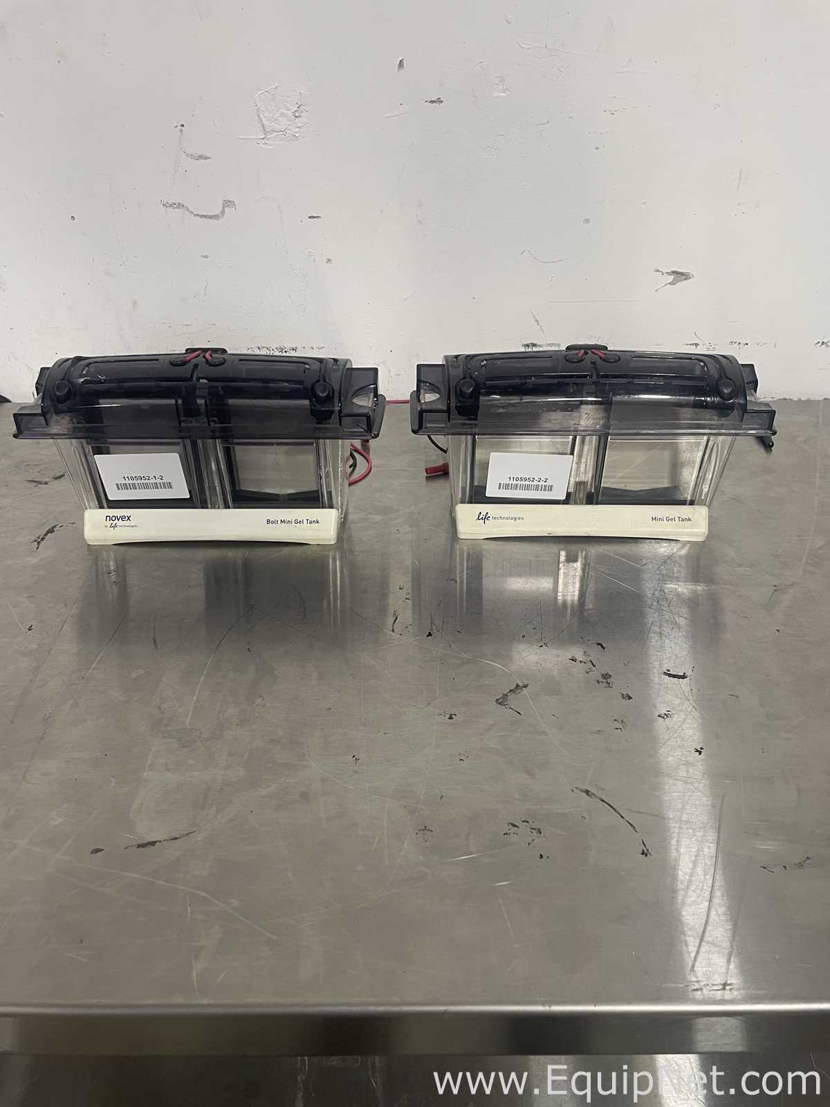 Lot of 2 Life Technologies MINI Gels Tanks