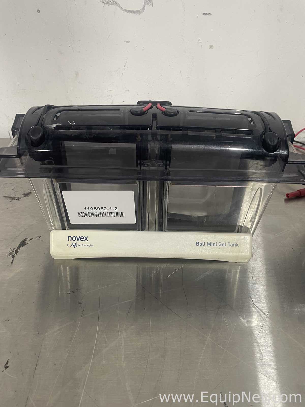 Lot of 2 Life Technologies MINI Gels Tanks
