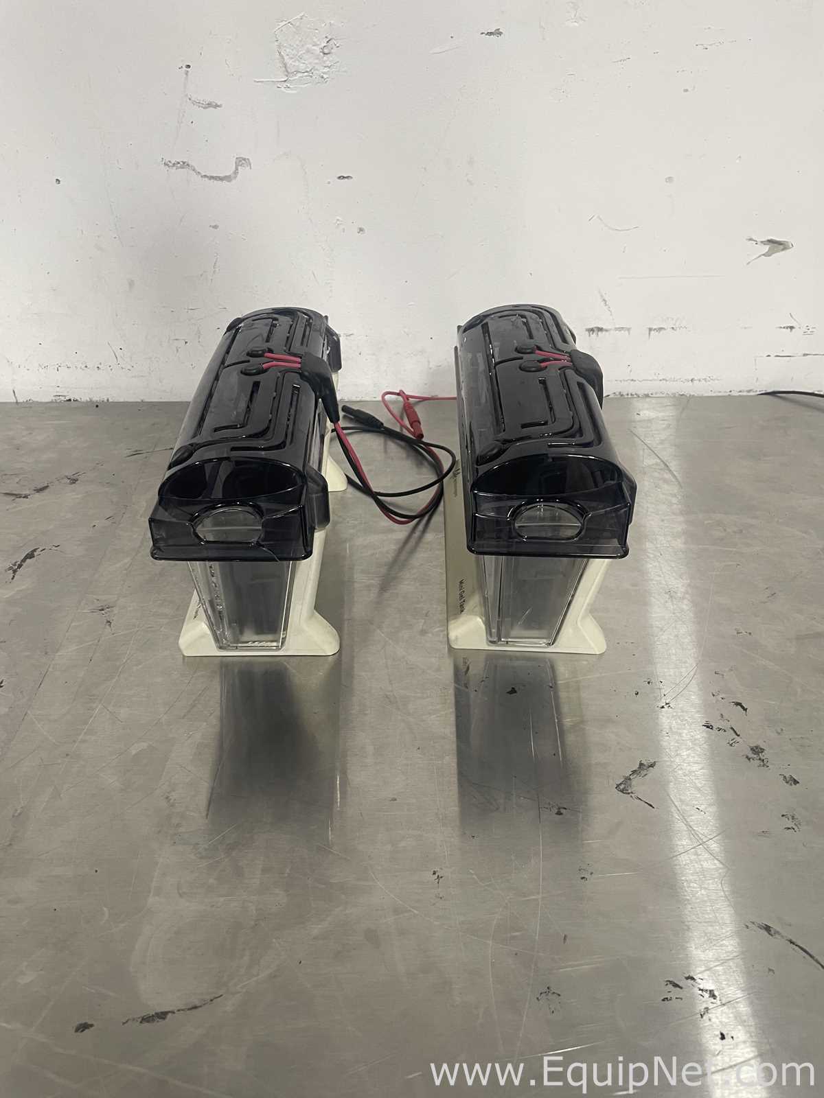 Lot of 2 Life Technologies MINI Gels Tanks