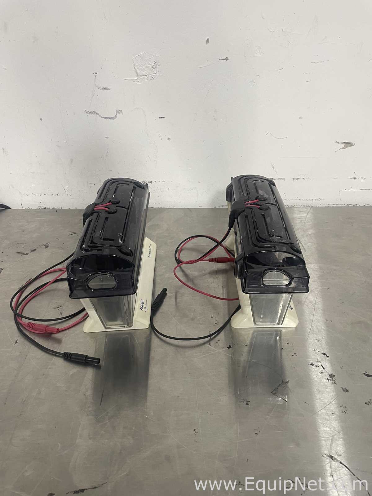 Lot of 2 Life Technologies MINI Gels Tanks