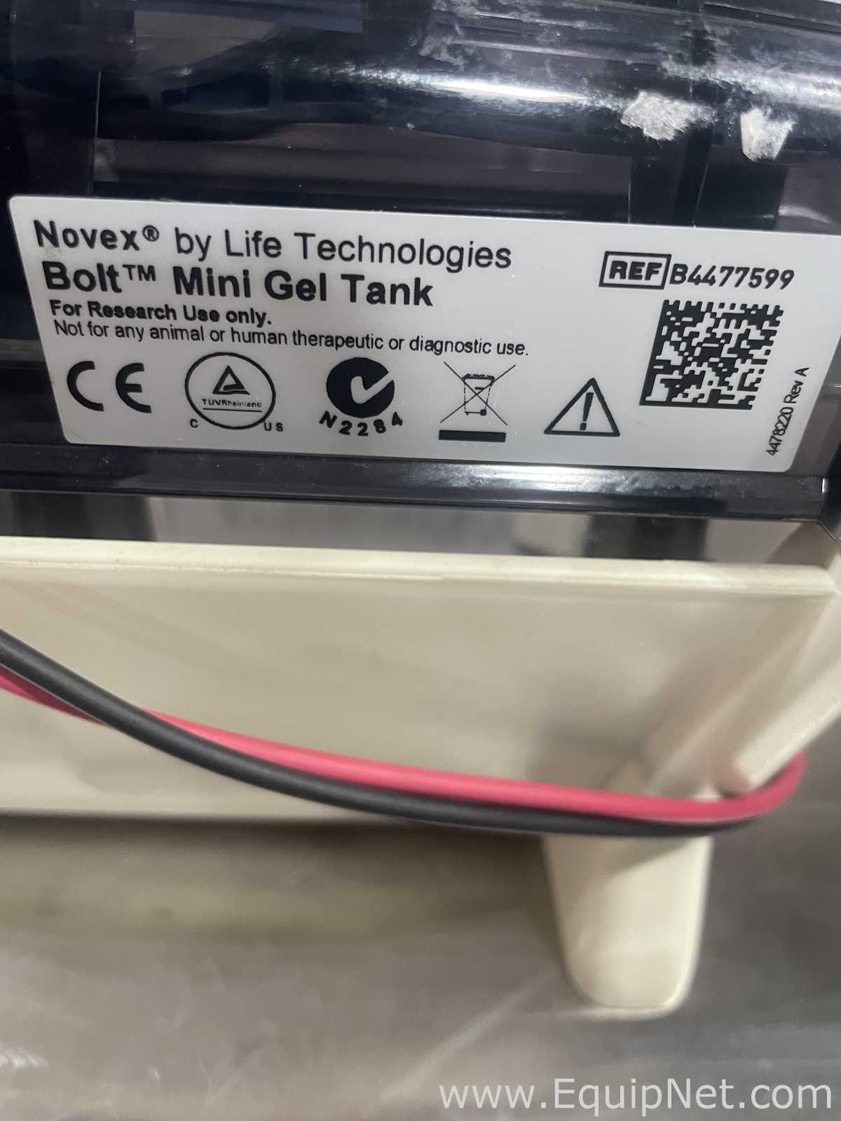 Lot of 2 Life Technologies MINI Gels Tanks