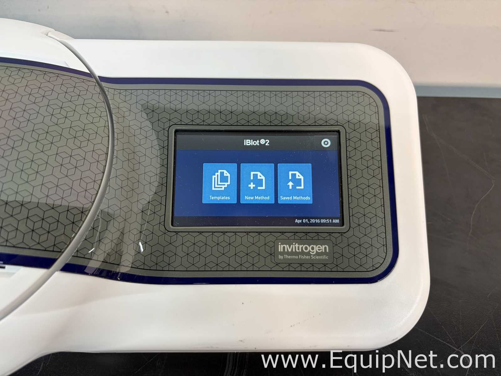 Sistema de Eletroforese Invitrogen iBlot2