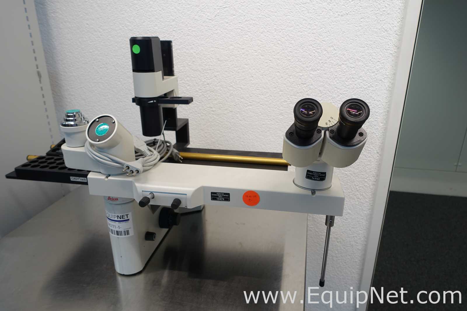 Microscopio Leica Leitz 090-135.001