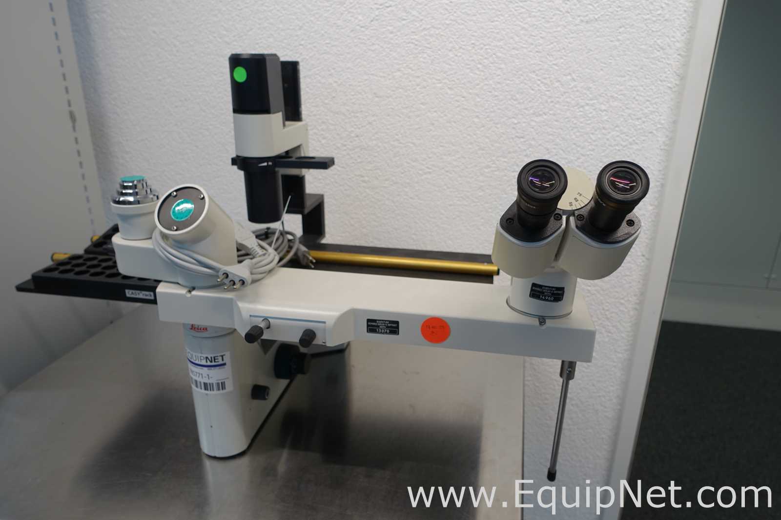 Microscopio Leica Leitz 090-135.001