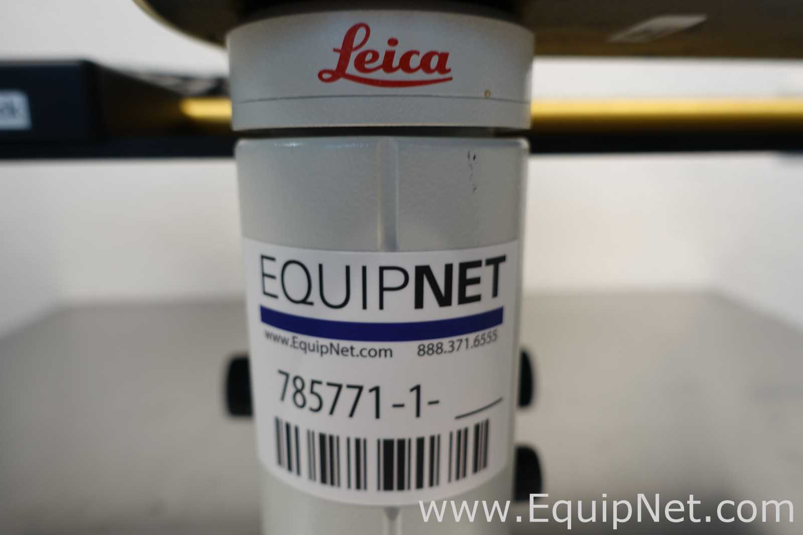 Microscopio Leica Leitz 090-135.001