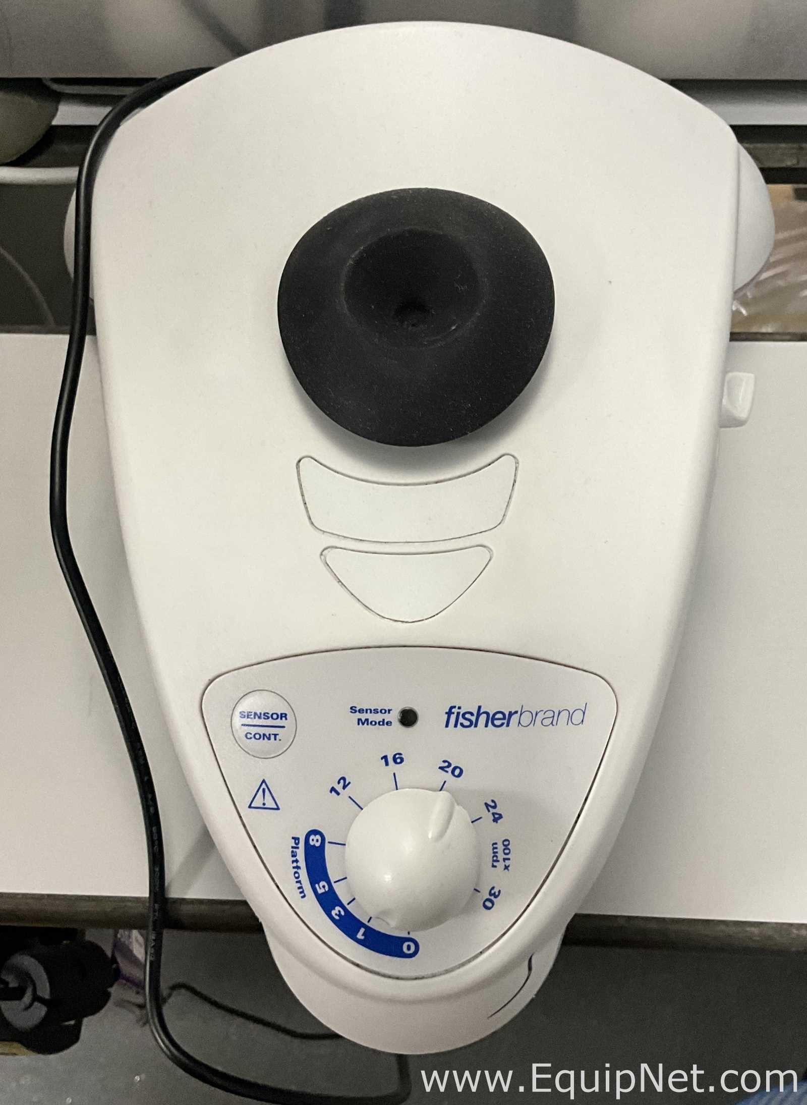 Fisher Brand F202AO173FI Vortex