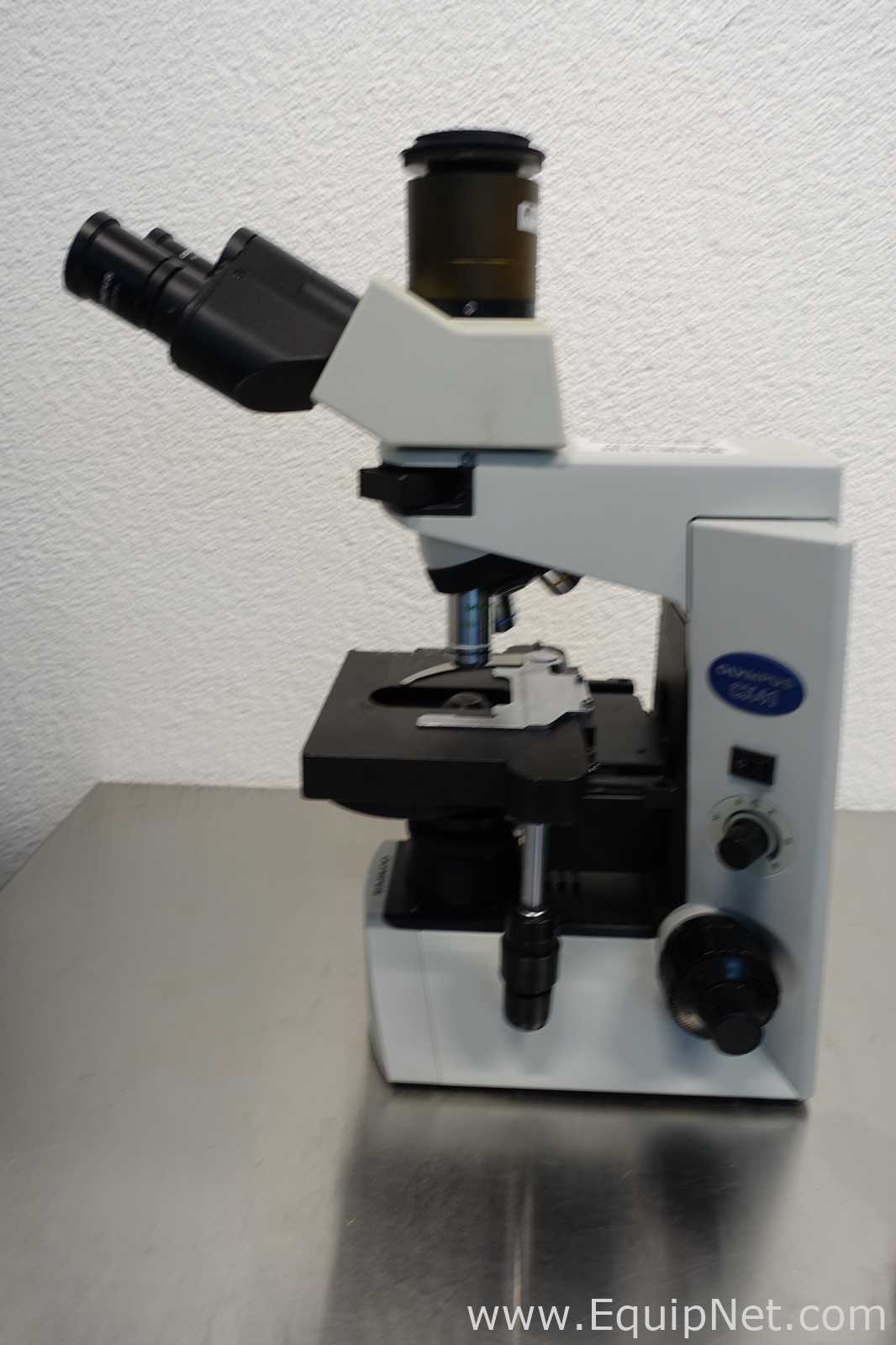 Microscopio Olympus CX41RF