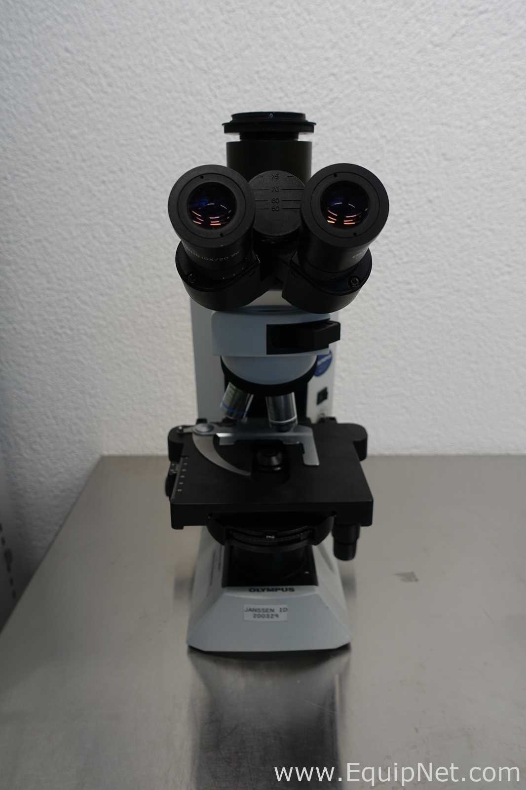 Microscopio Olympus CX41RF