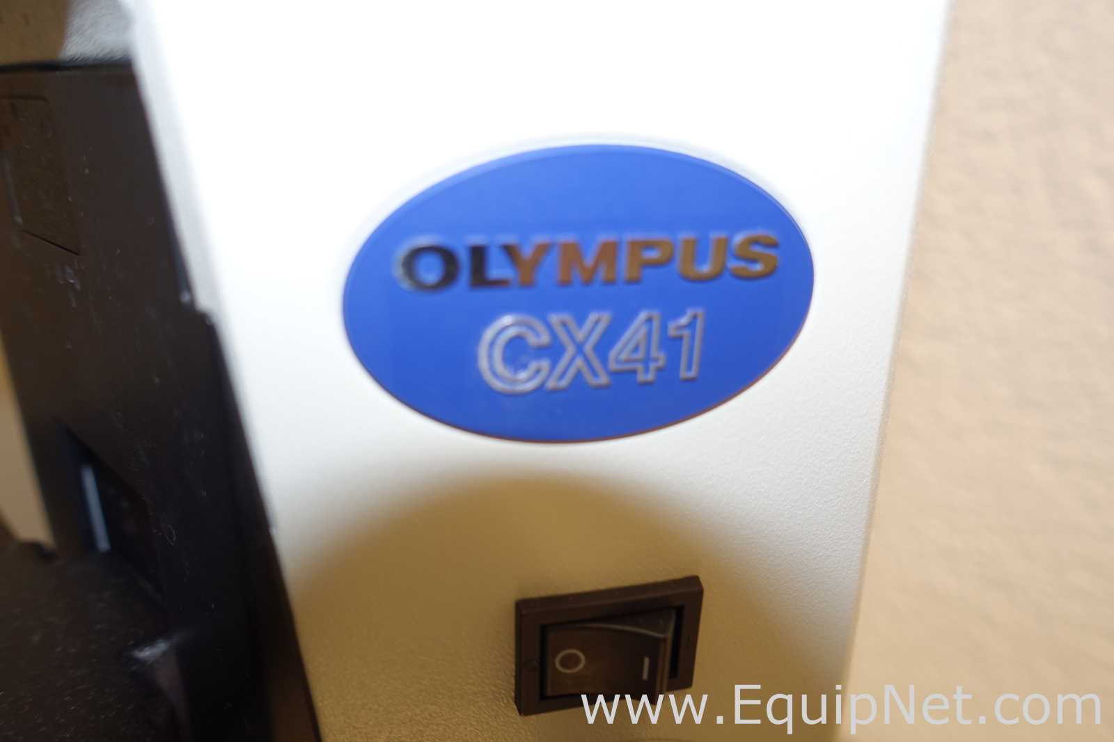 Microscopio Olympus CX41RF