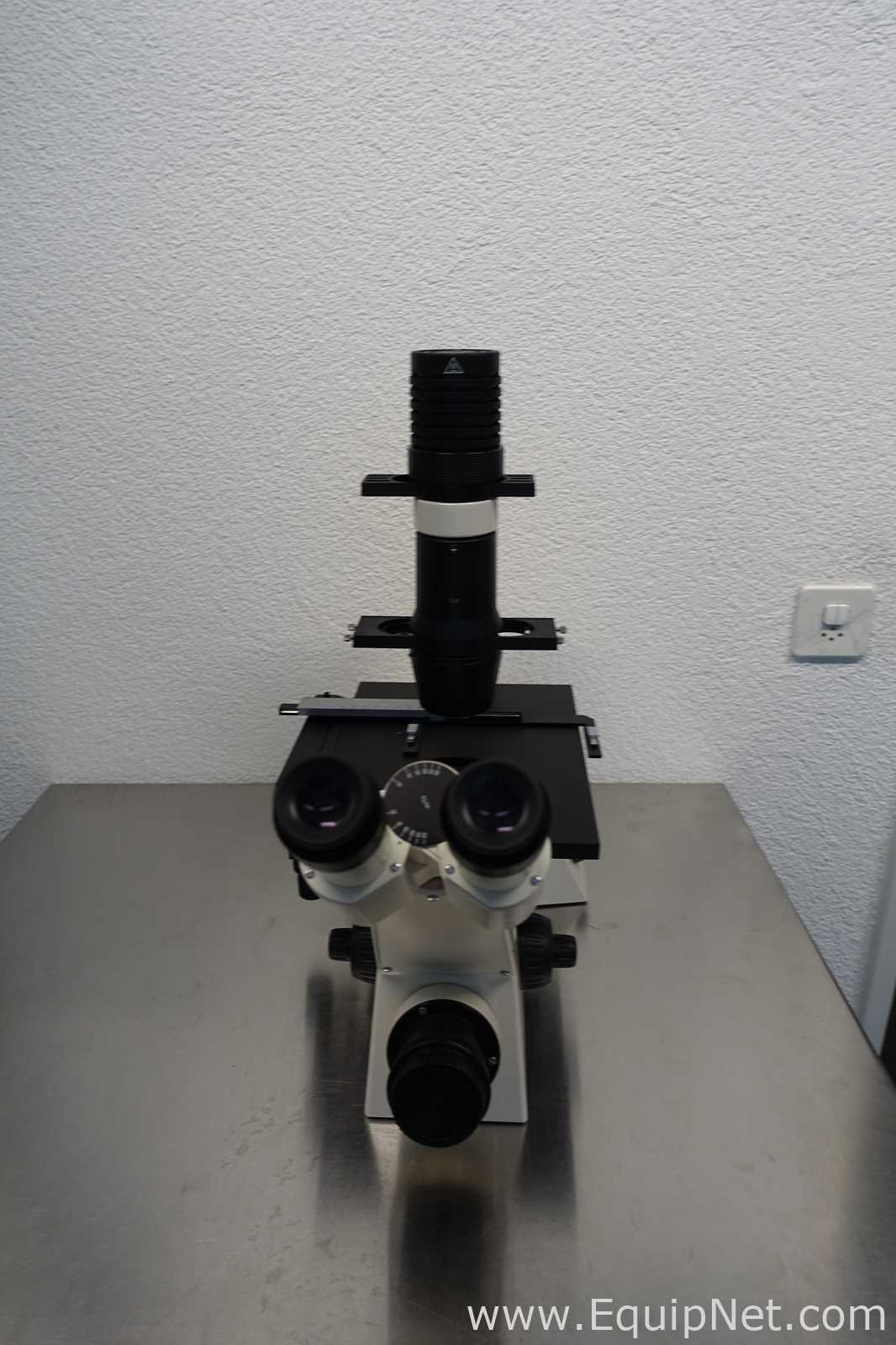 Microscopio Carl Zeiss Microimaging GmbH Axiovert 40C