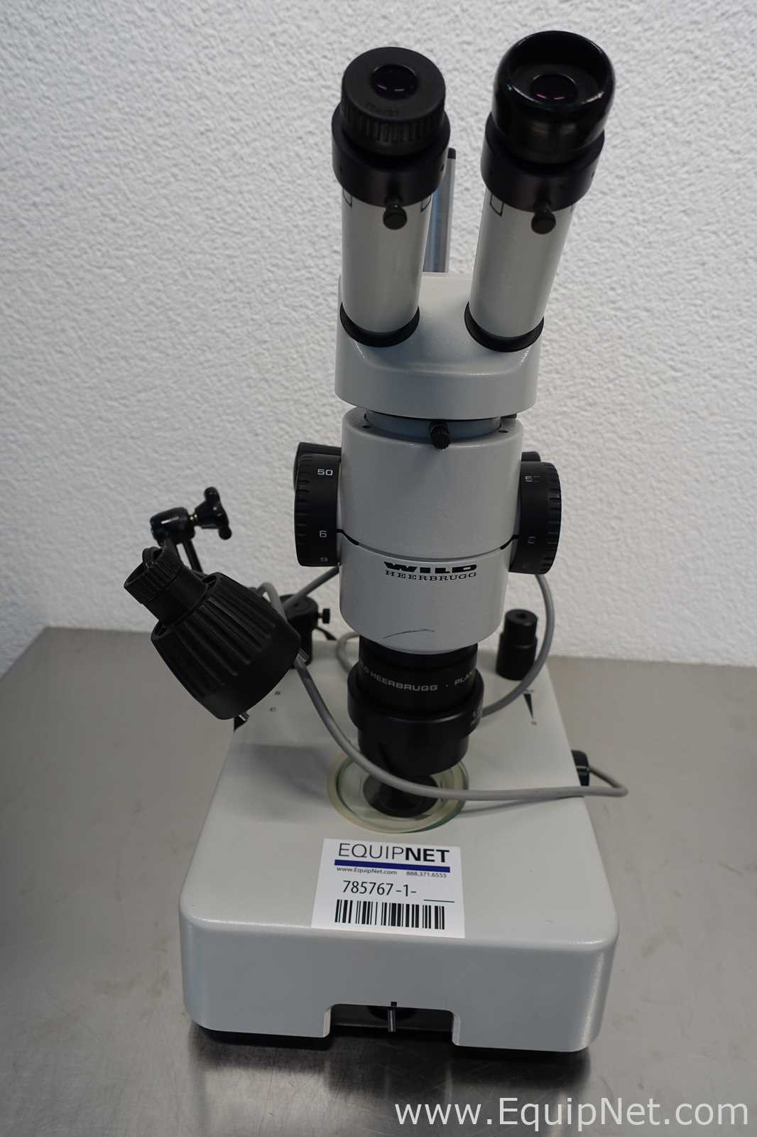 Wild Heerbrugg MDG13 Microscope
