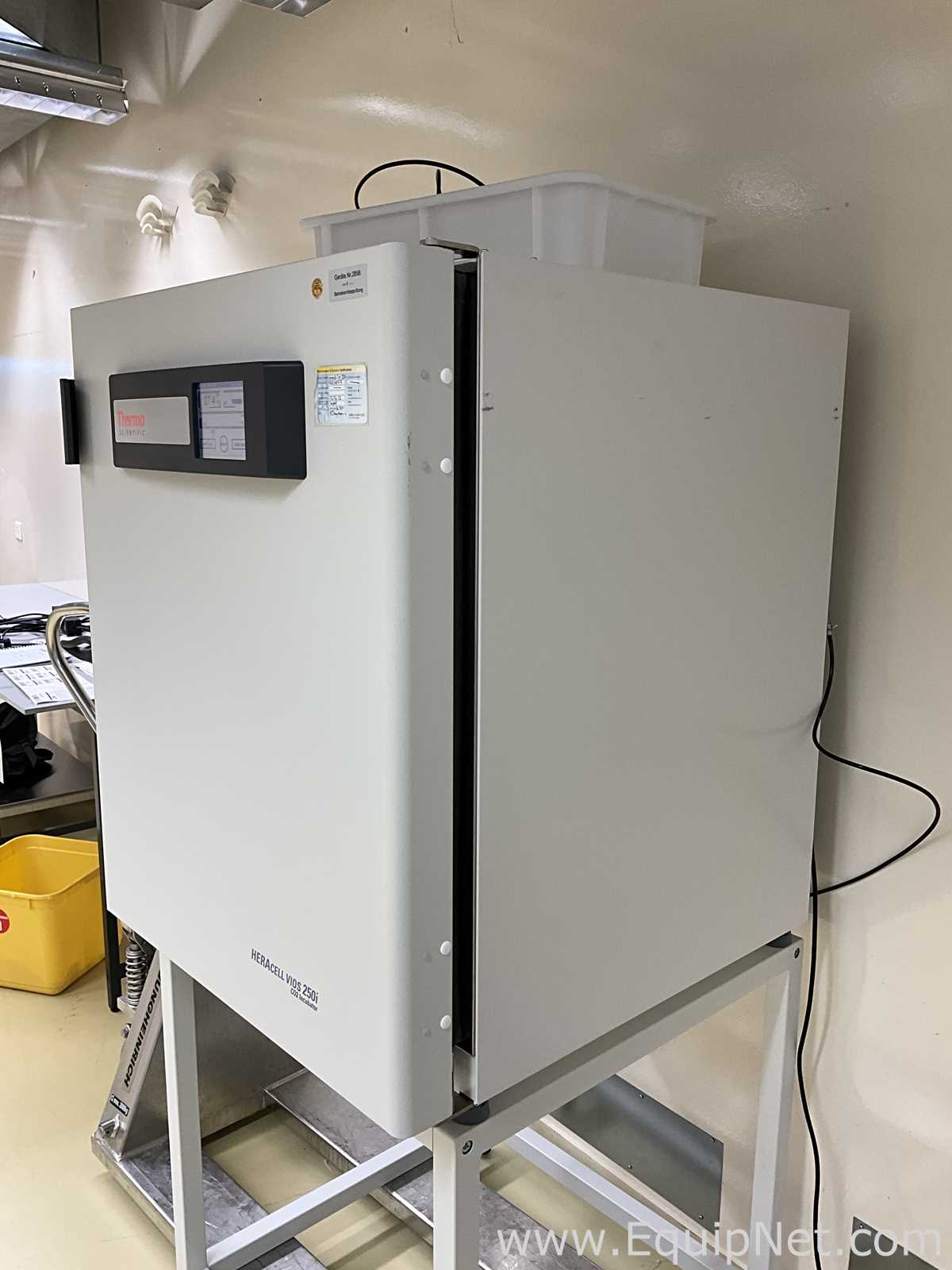 Incubadora Thermo Scientific HERAcell Vios 250i