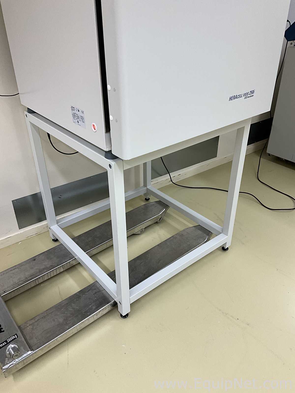 Incubadora Thermo Scientific HERAcell Vios 250i
