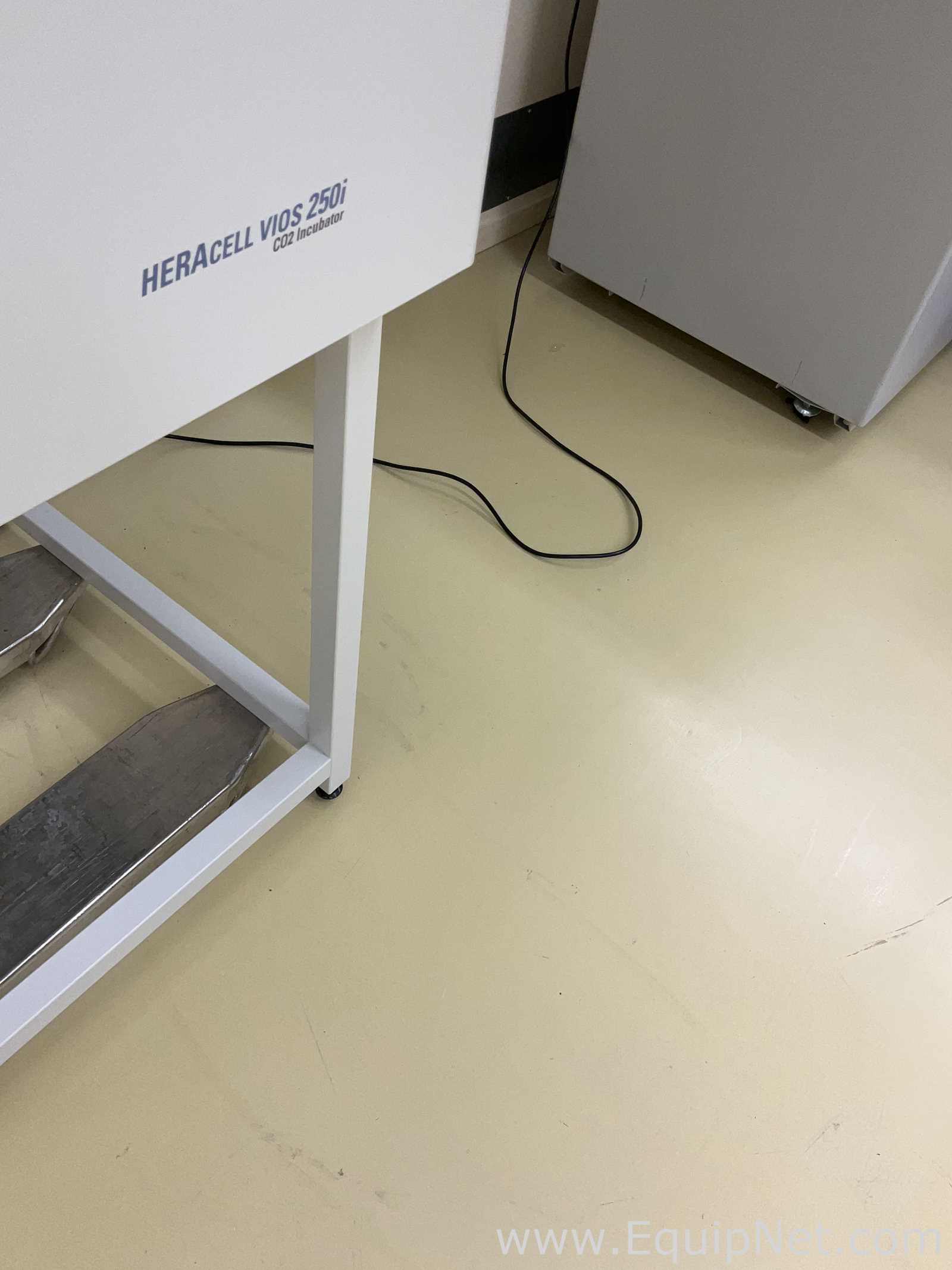Incubadora Thermo Scientific HERAcell Vios 250i