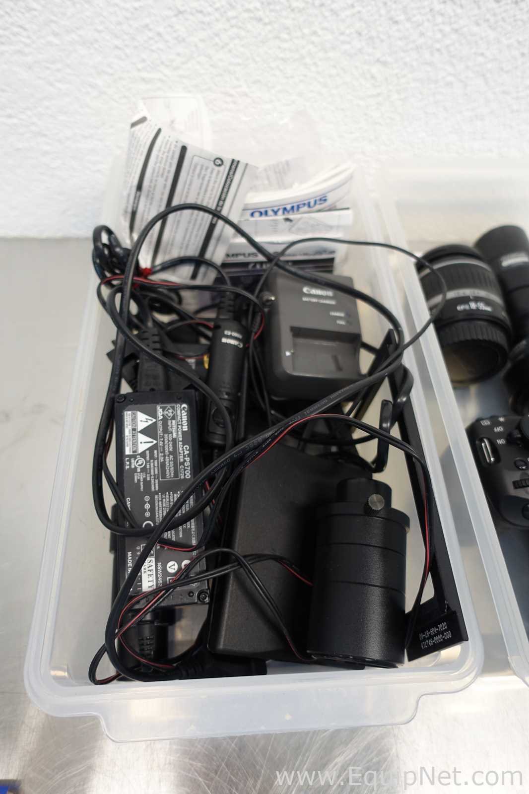 Canon EOS 1000D DS126191 Camera with Charger and Accessories