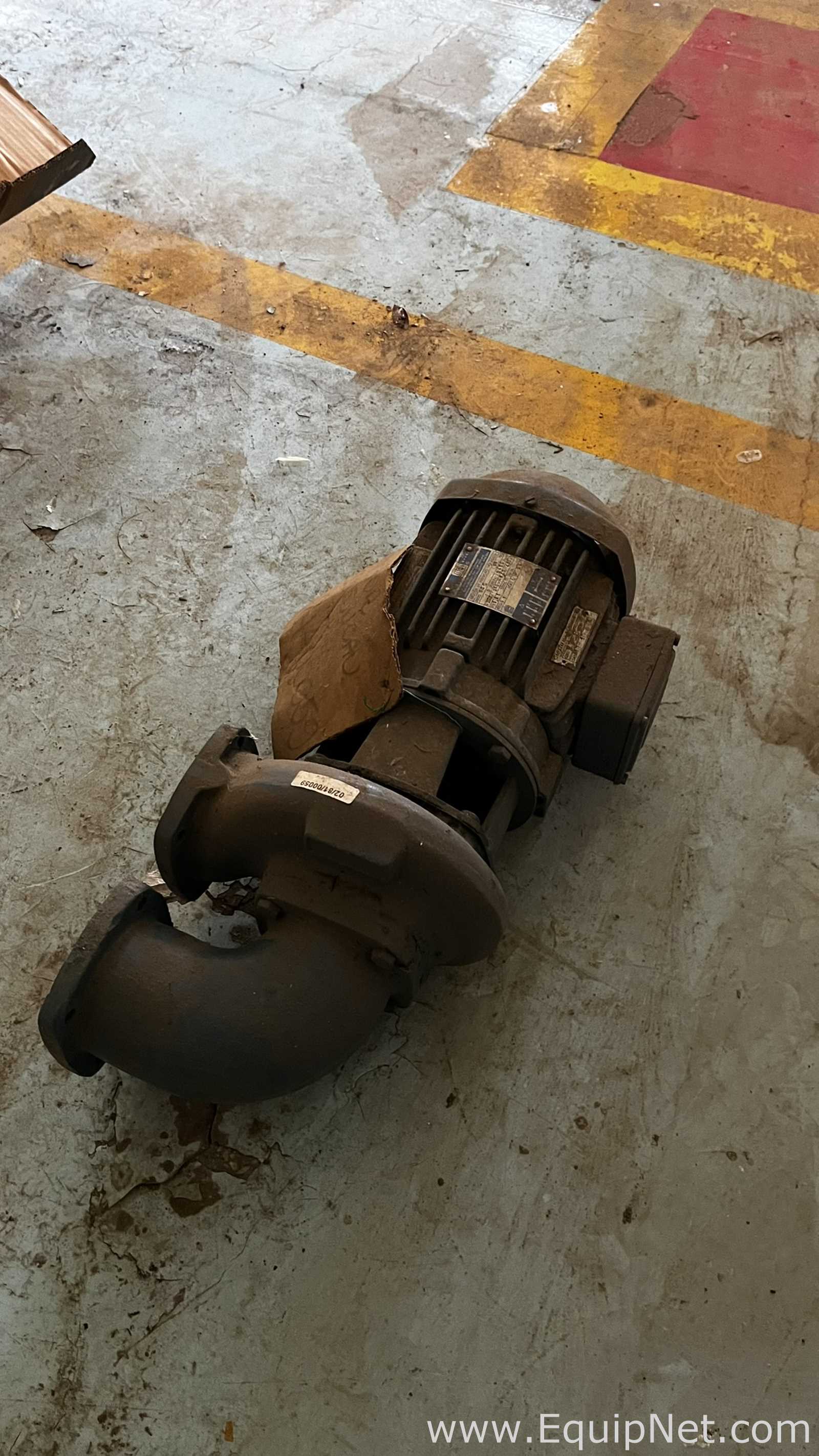 Caotto 90 S Dual-Outlet Centrifugal Pump