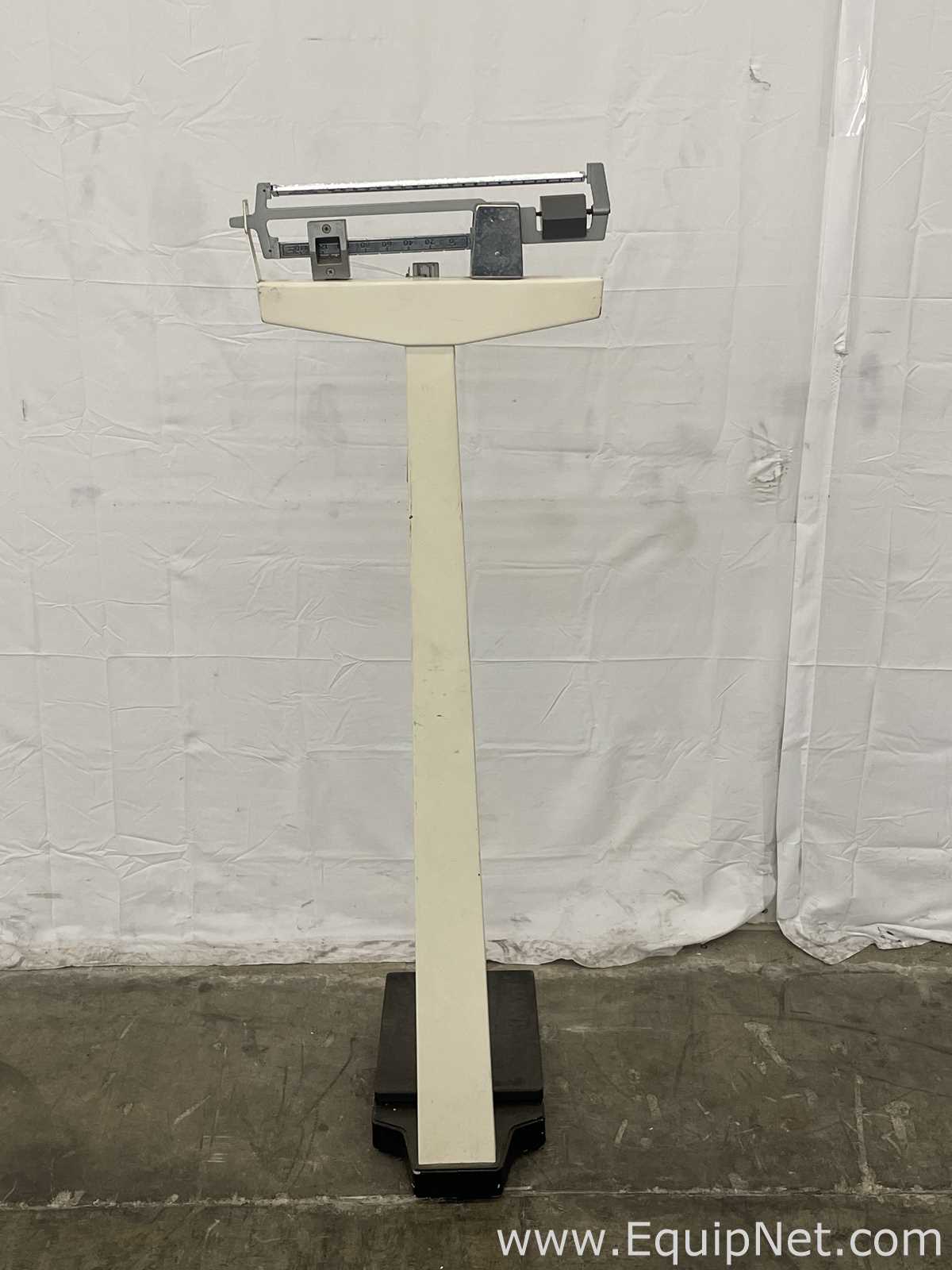 Miscellaneous  Pro series  Scale