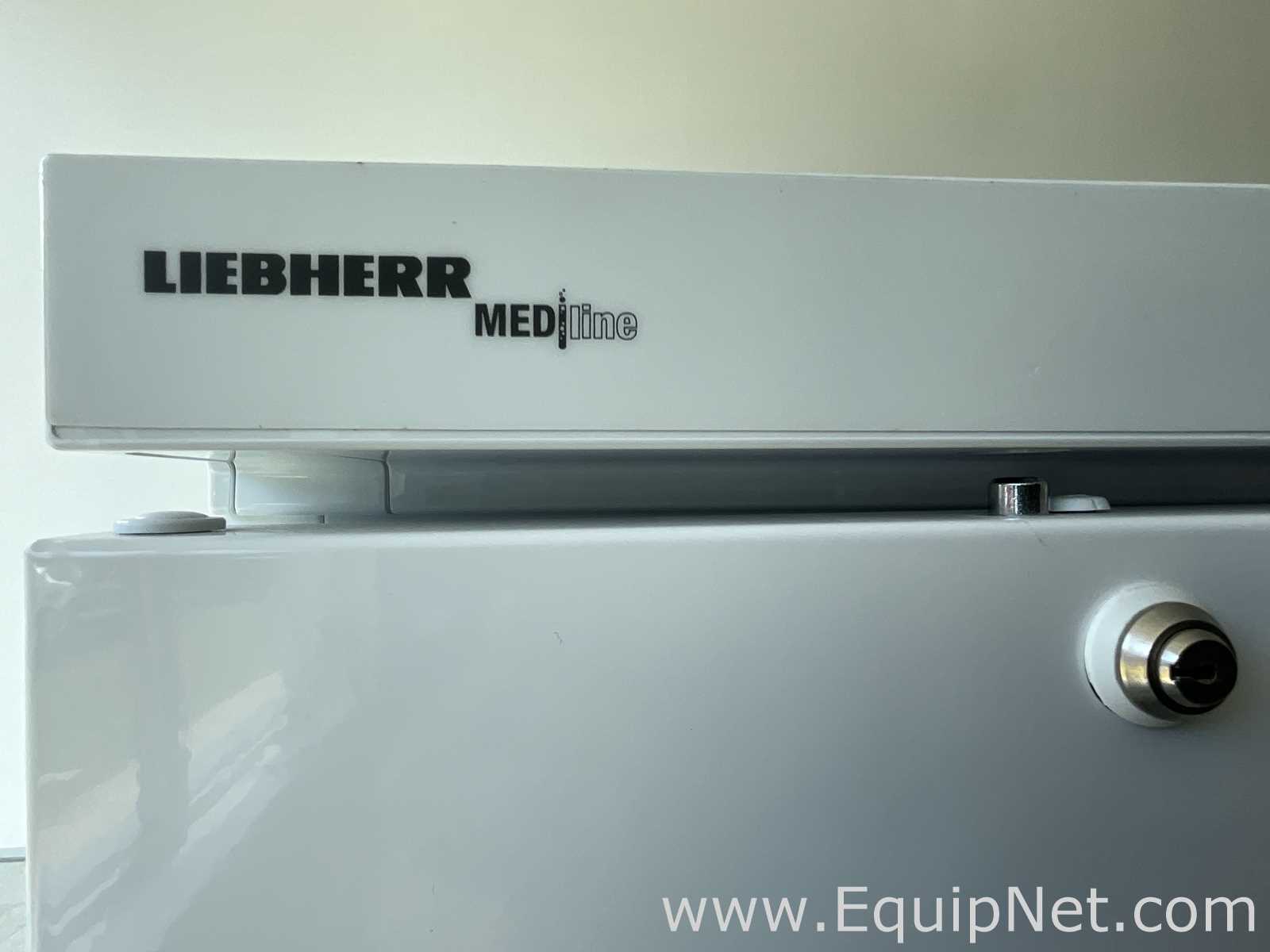 Congelador Liebherr LGex 3410 Index 22B/006