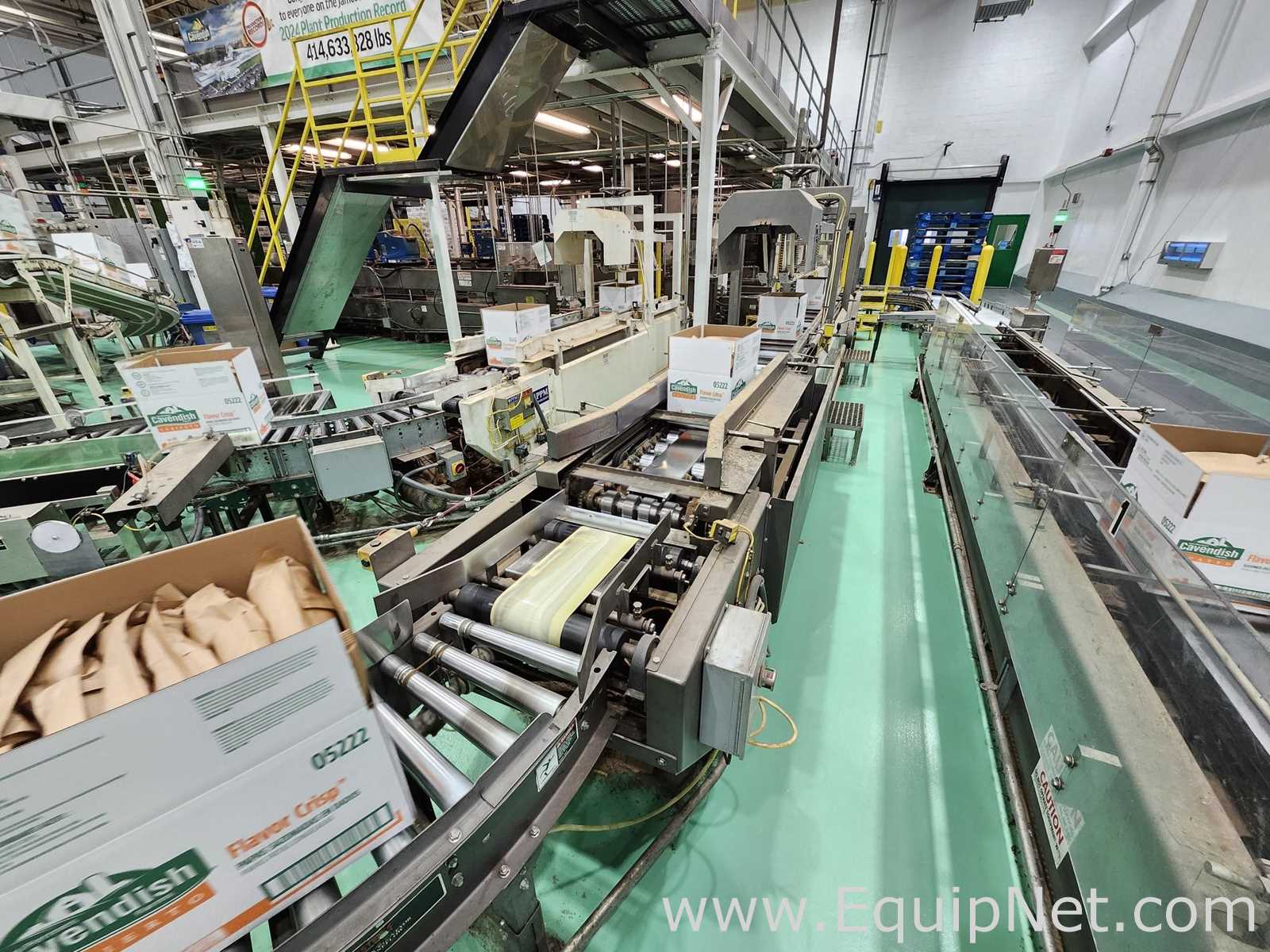 PPM Case Handling Flat Belt Conveyor System