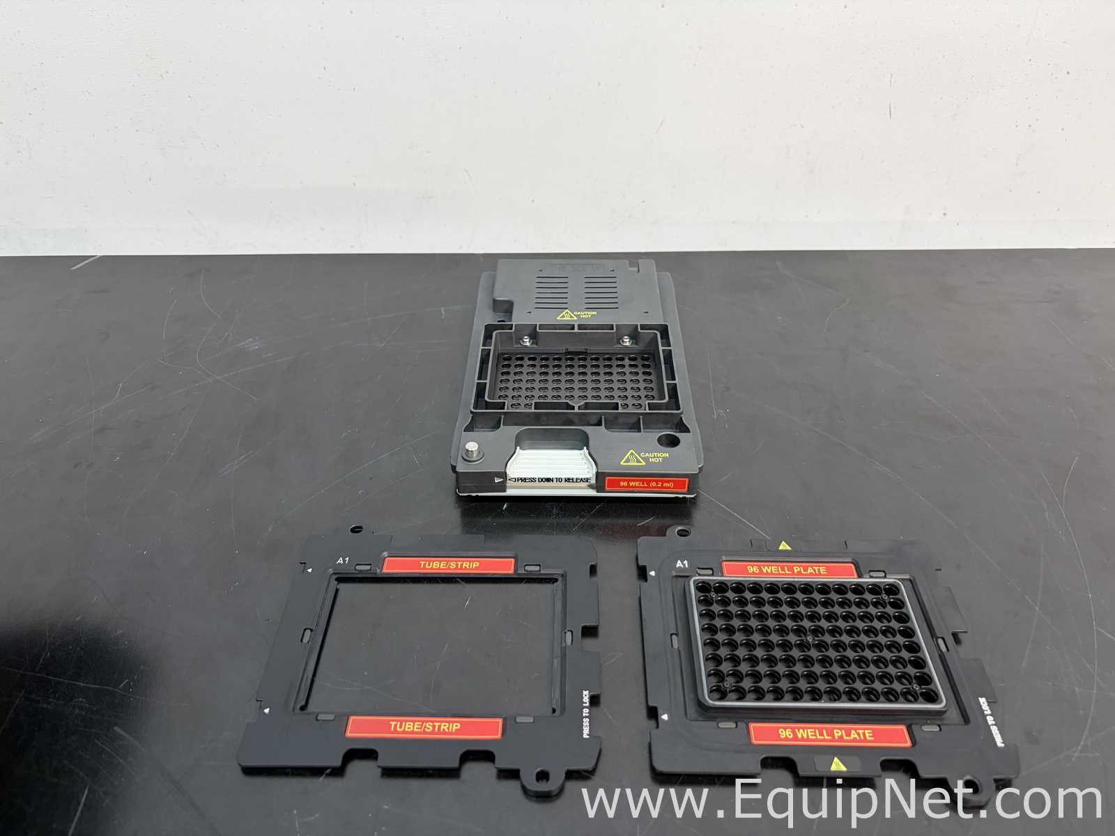 PCR y Termociclador Applied Biosystems 96 Well Block