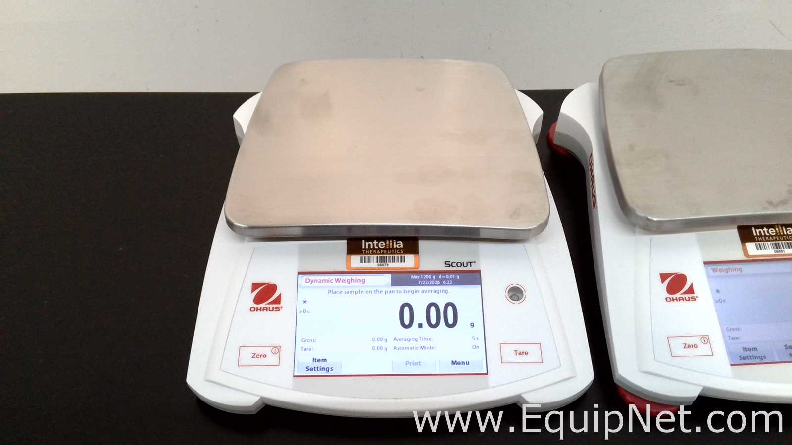 lote de  5 Balança de Laboratório Ohaus Corporation Scout