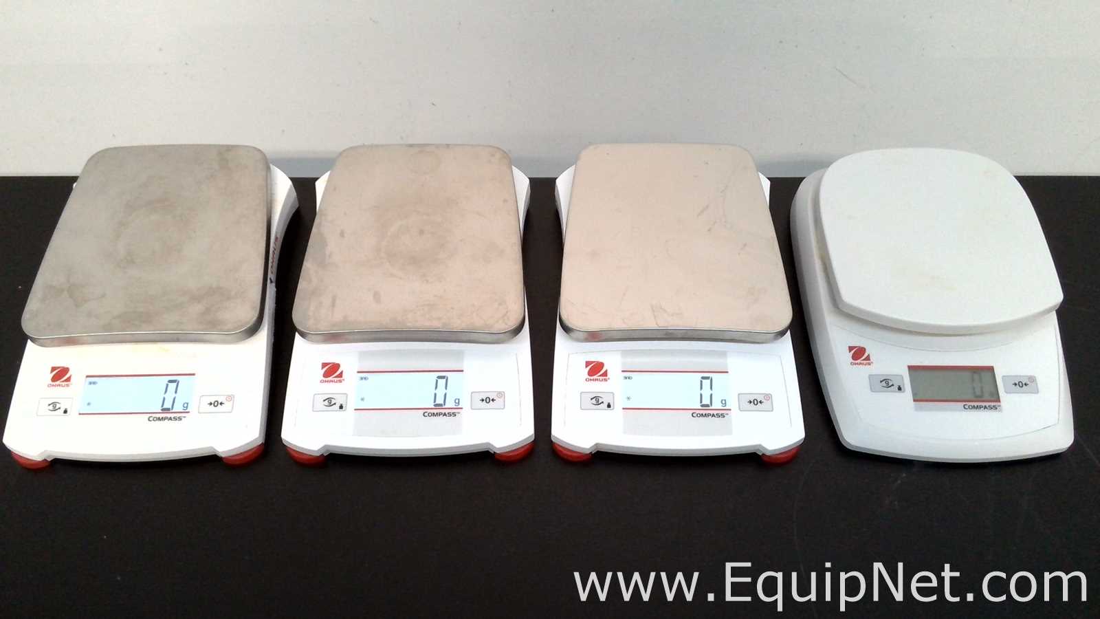 lote de  4 Balança Ohaus Corporation Compass