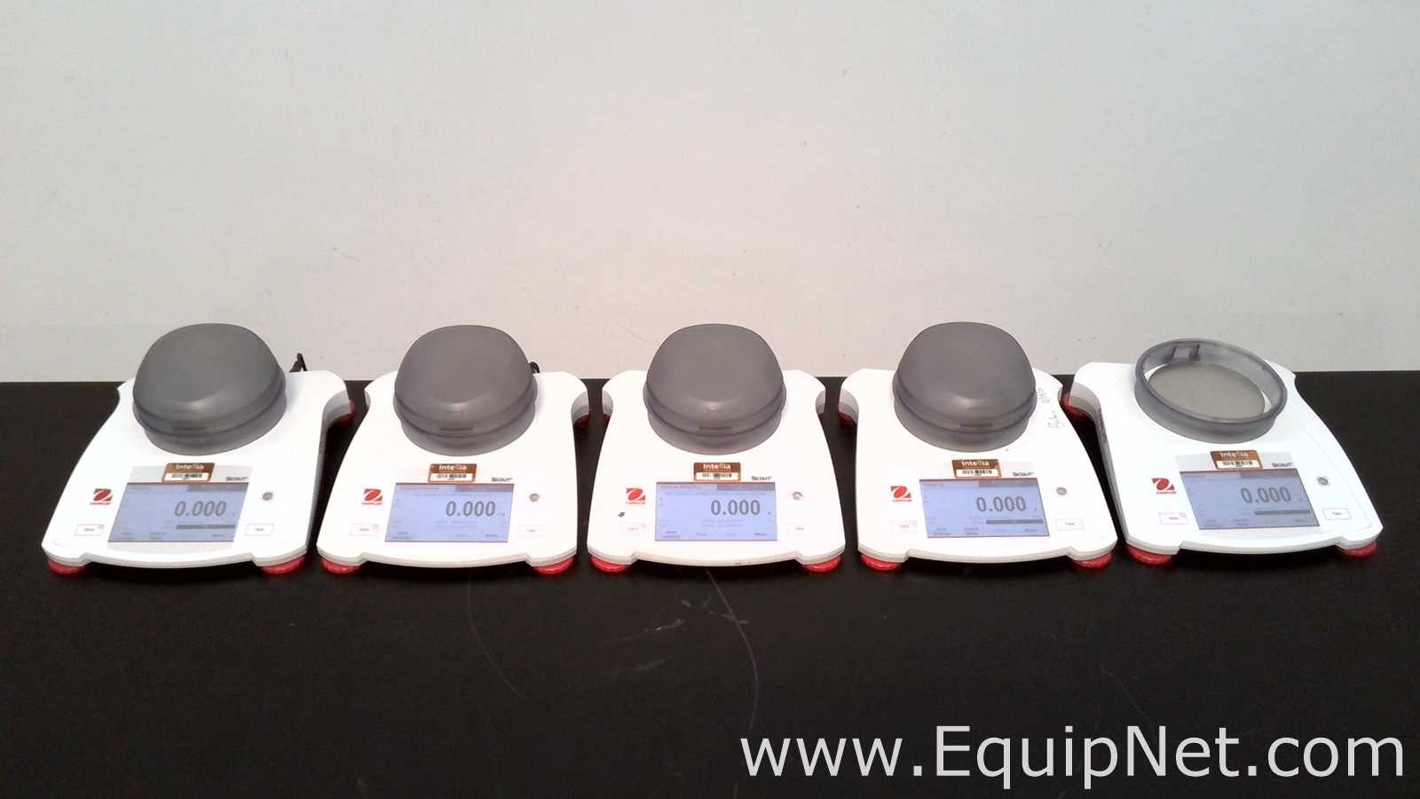 lote de  5 Balança de Laboratório Ohaus Corporation Scout