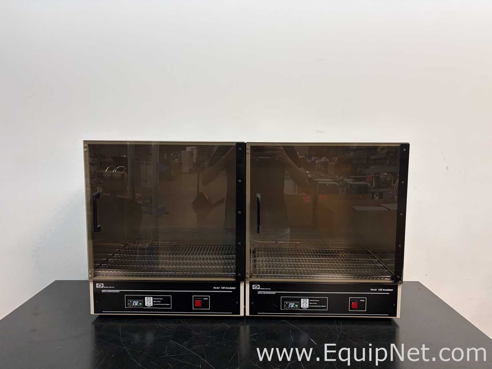 Lote de 2 Incubadora Quincy Lab 12-140E