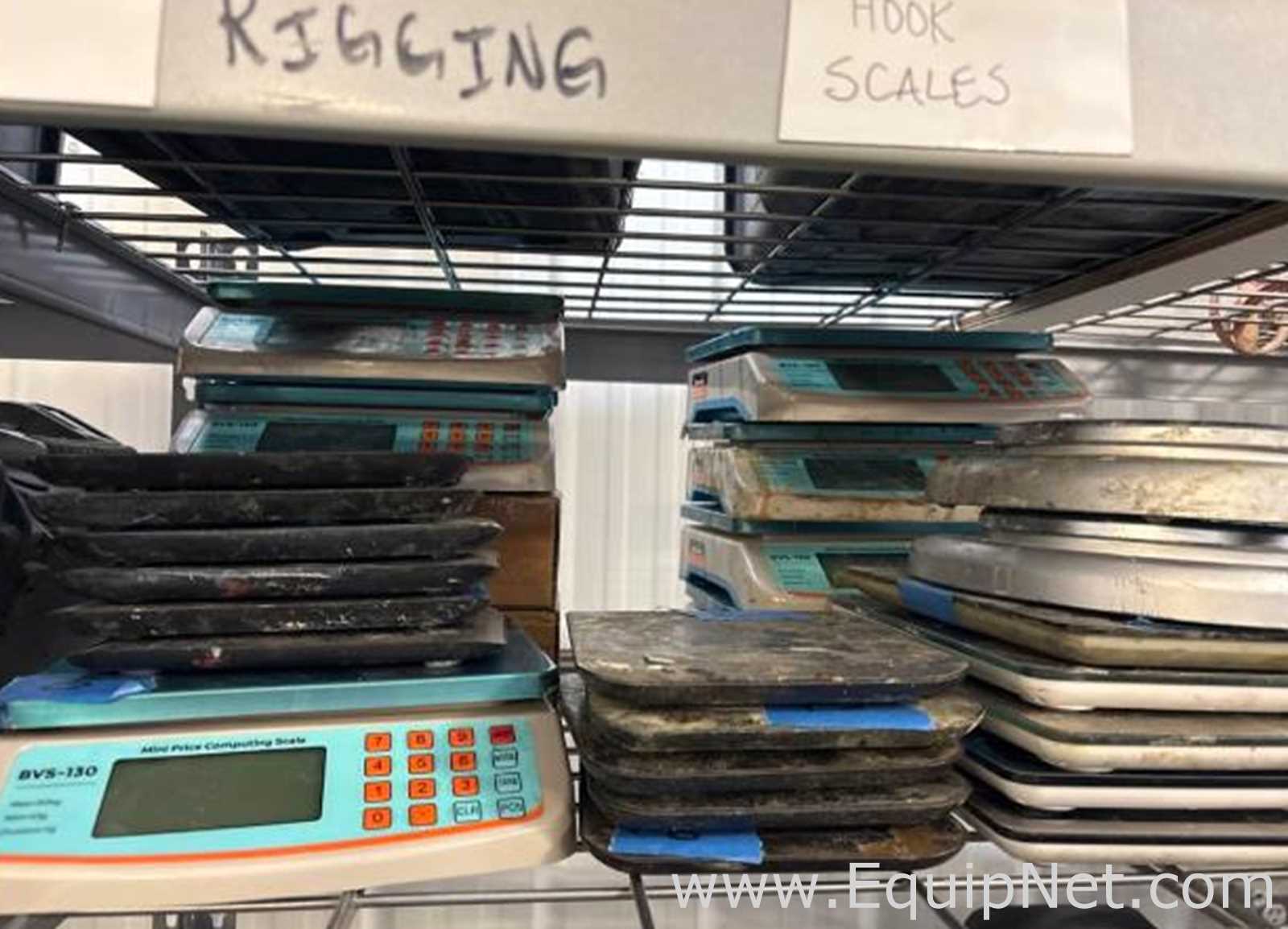 Lot of 3 Digital Hanging Scales