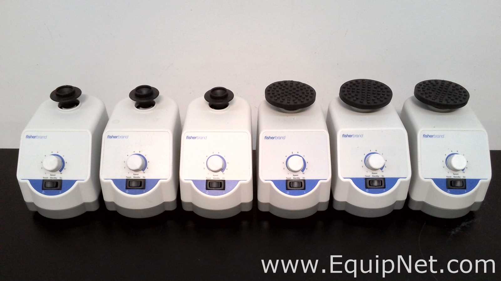 Lote de 6 Agitador Fisherbrand ANALOG VORTEX 002215414