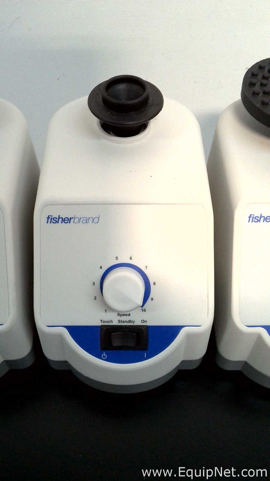Lote de 6 Agitador Fisherbrand ANALOG VORTEX 002215414