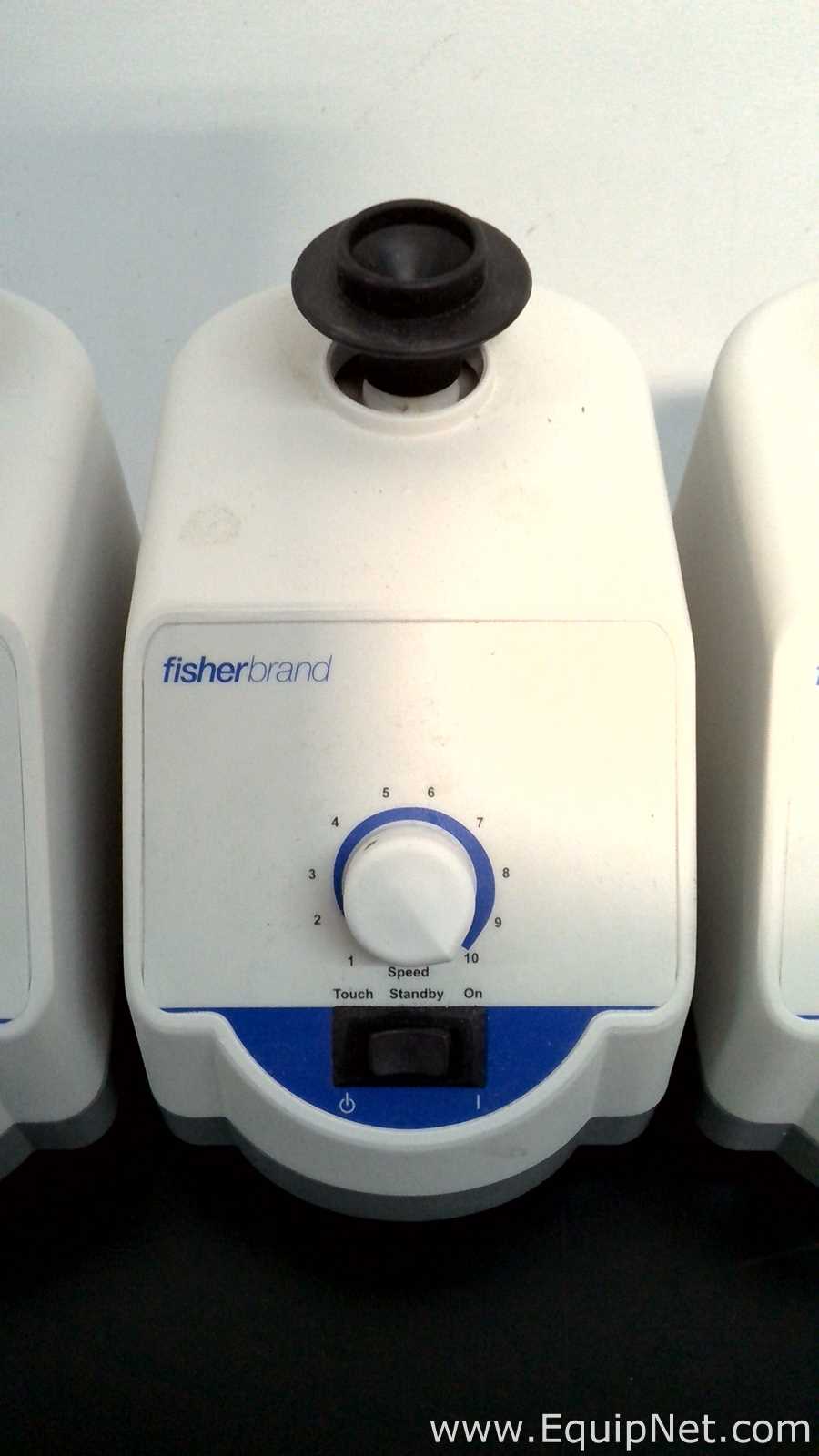 Lote de 6 Agitador Fisherbrand ANALOG VORTEX 002215414