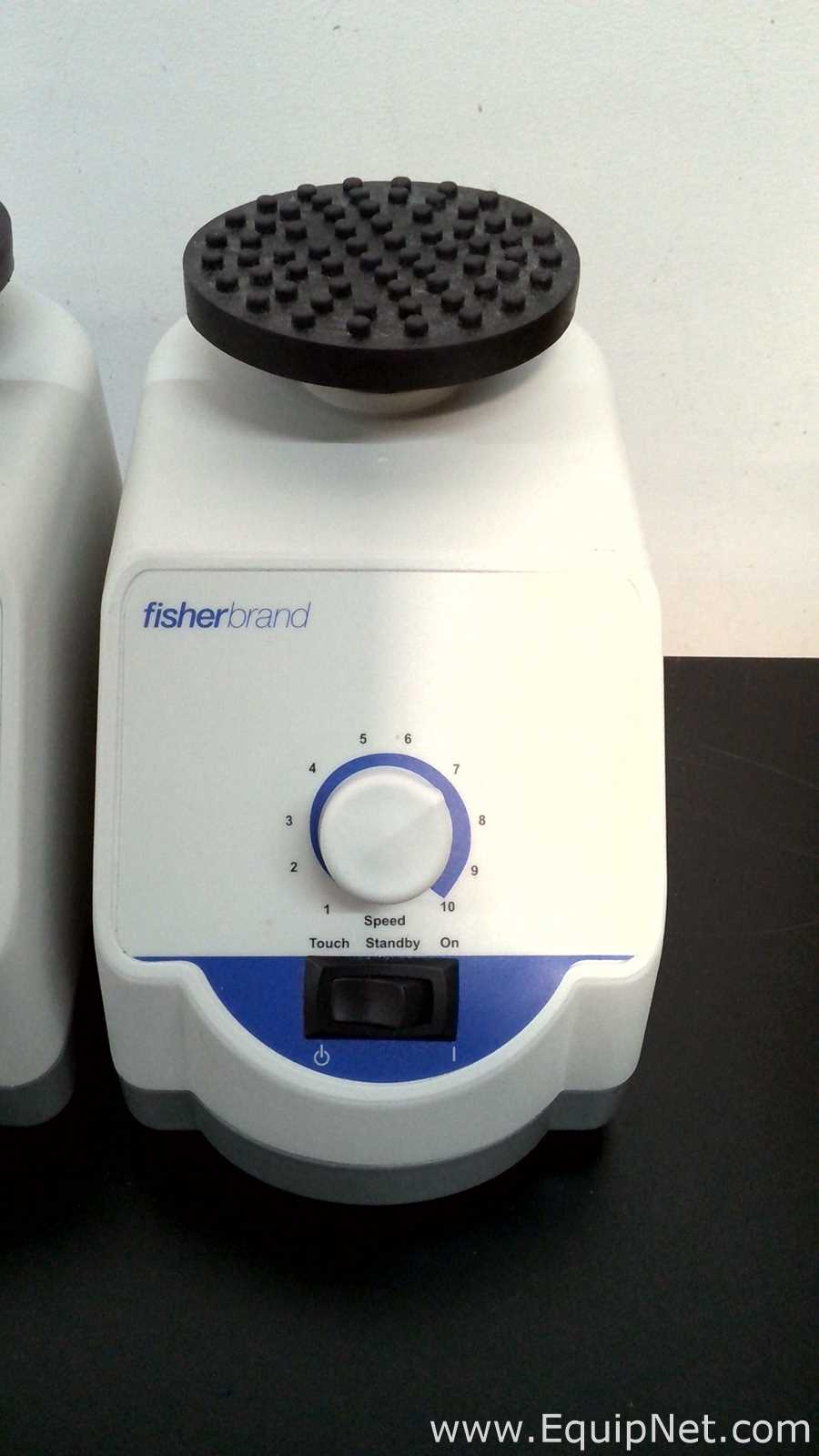 Lote de 6 Agitador Fisherbrand ANALOG VORTEX 002215414