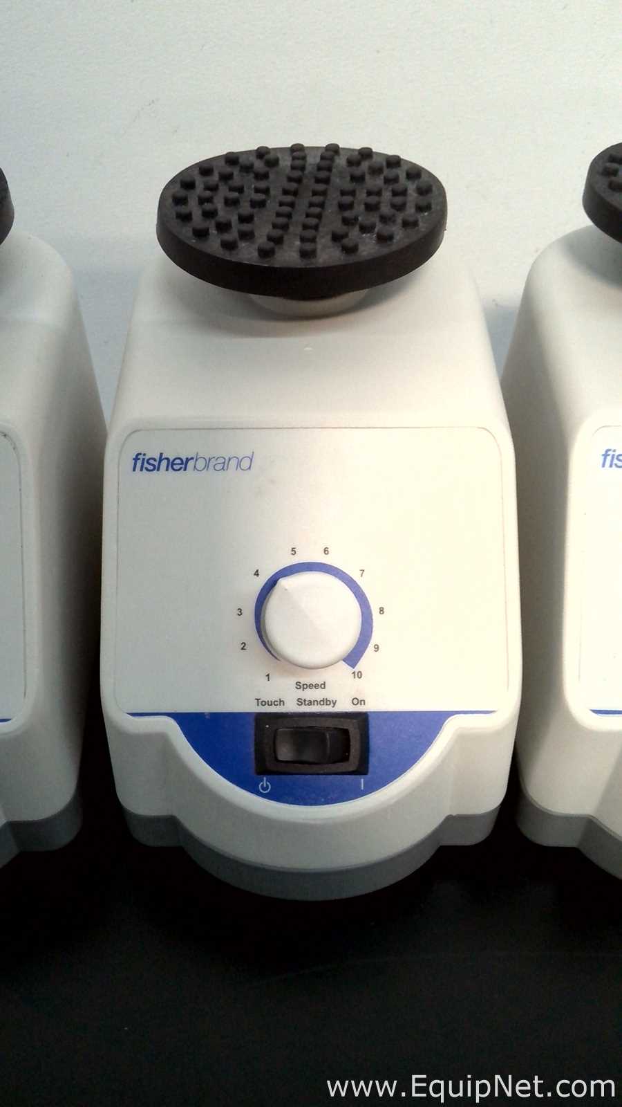 Lote de 6 Agitador Fisherbrand ANALOG VORTEX 002215414