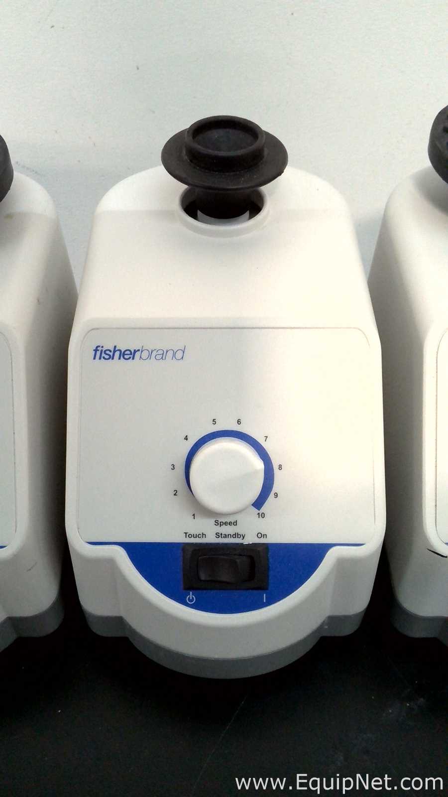 Lote de 6 Agitador Fisherbrand ANALOG VORTEX 002215414