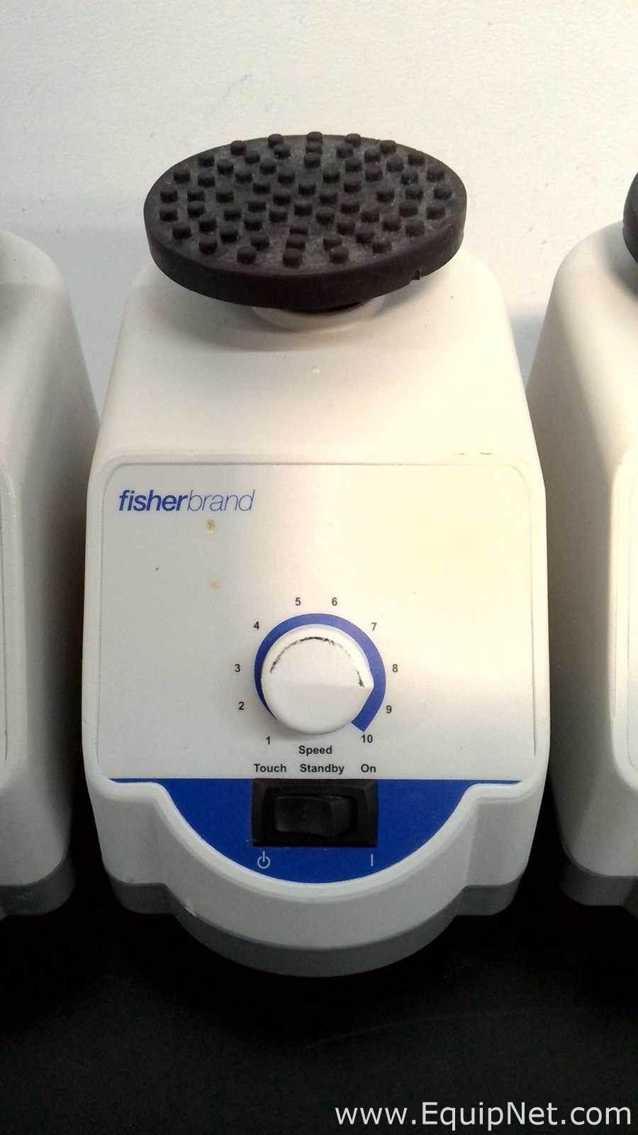 Lote de 6 Agitador Fisherbrand ANALOG VORTEX 002215414