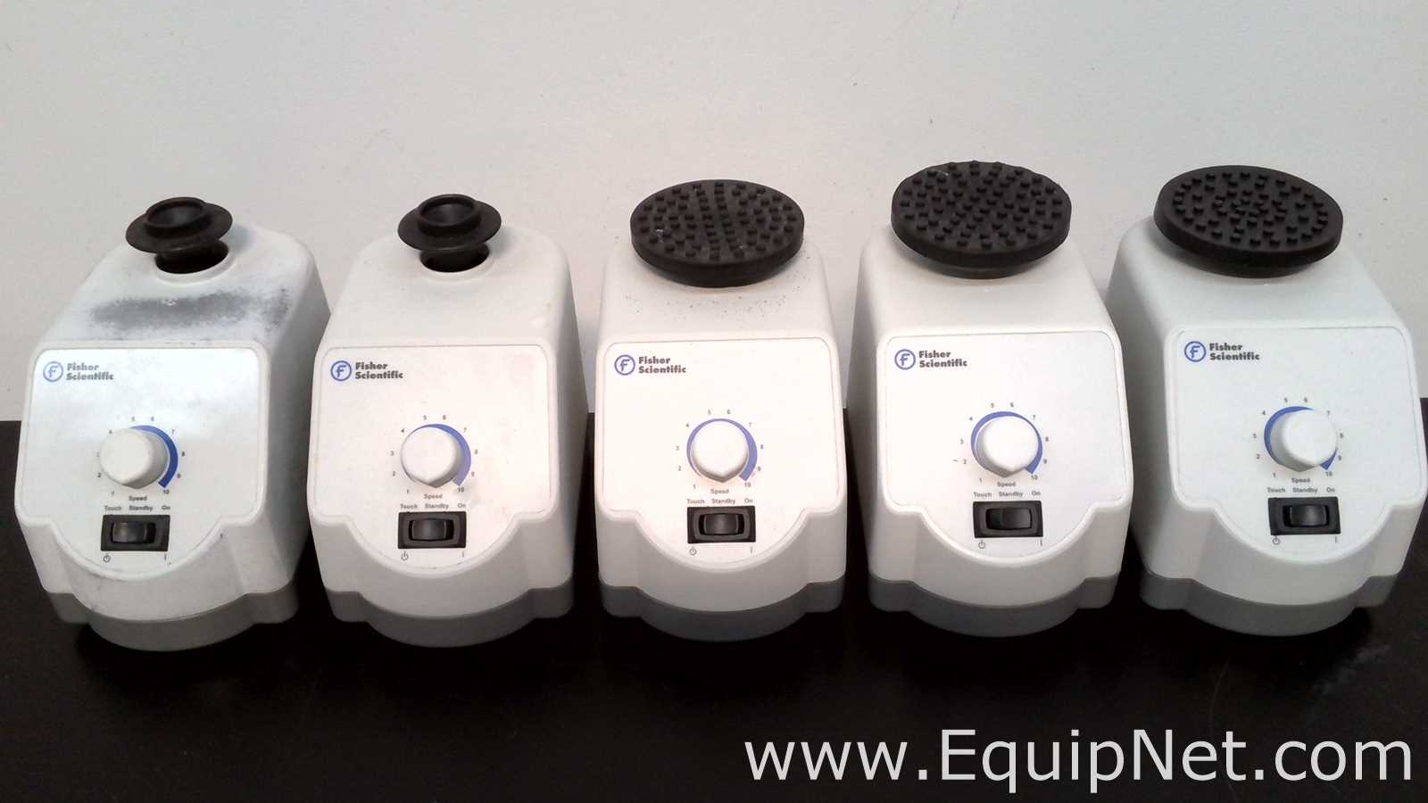 Lote de 5 Agitador Fisher Scientific 02215414
