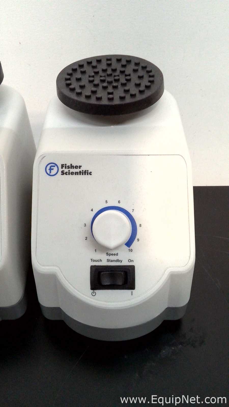Lote de 5 Agitador Fisher Scientific 02215414