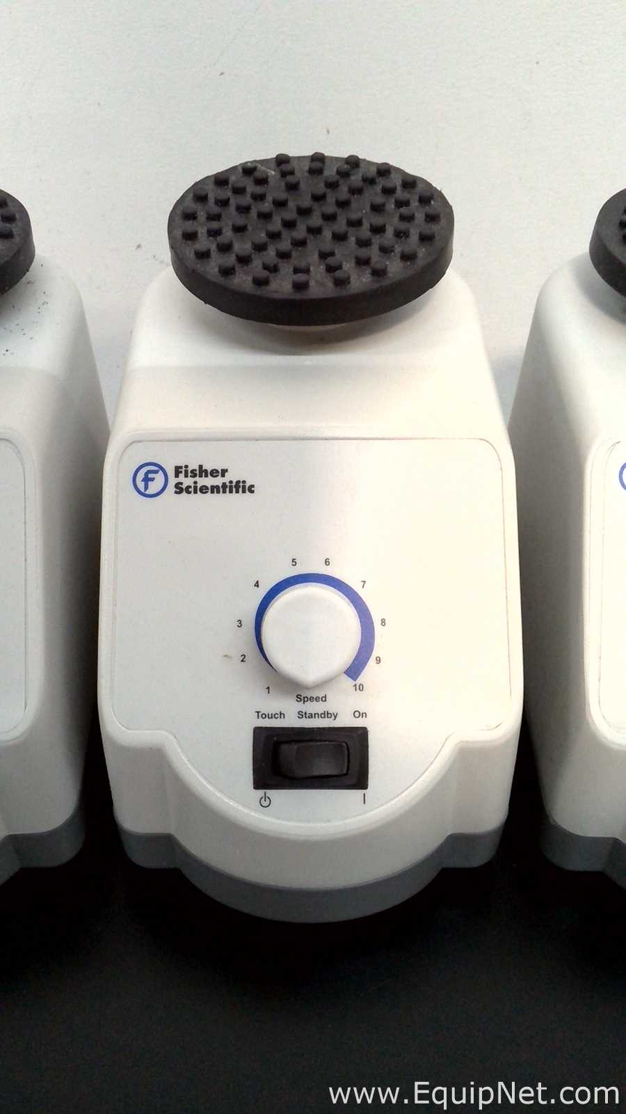 Lote de 5 Agitador Fisher Scientific 02215414