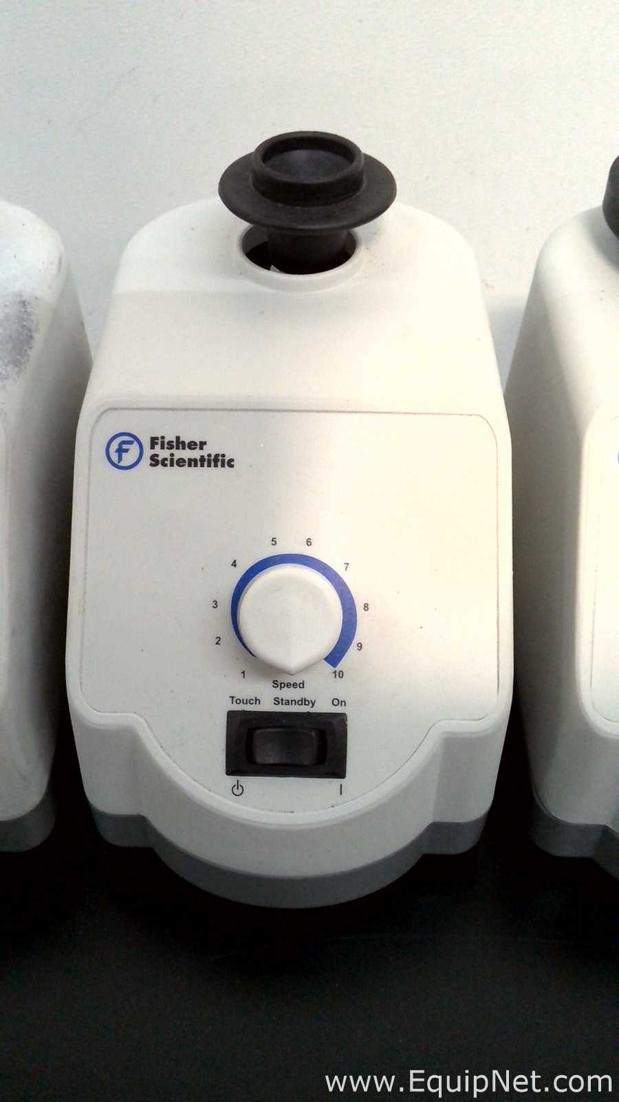 Lote de 5 Agitador Fisher Scientific 02215414