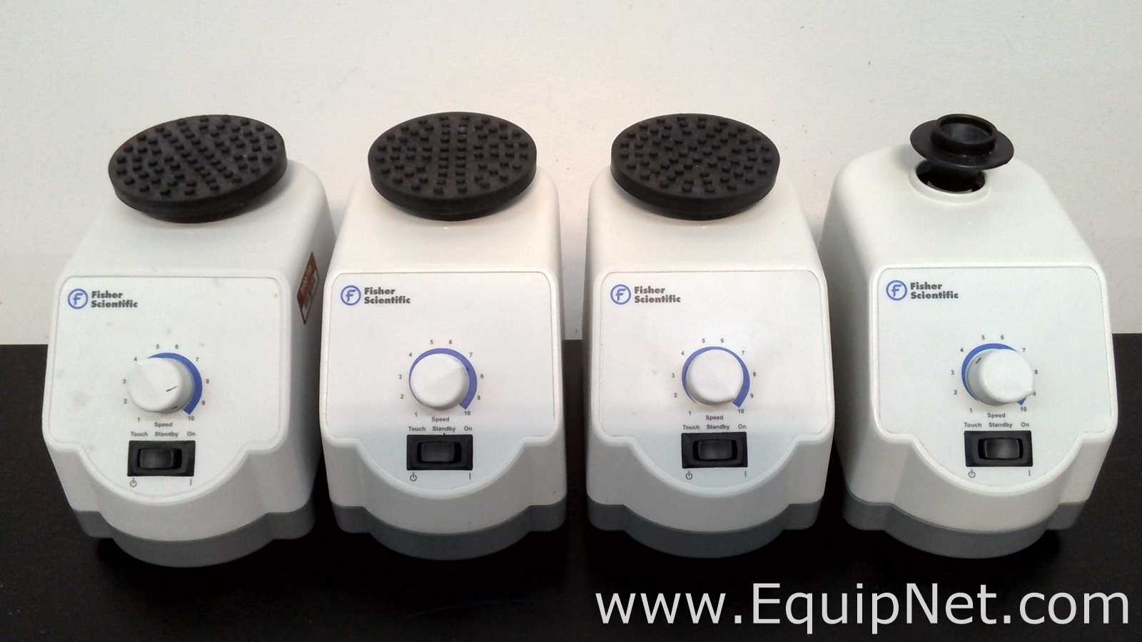Lote de 4 Agitador Fisher Scientific 02215414